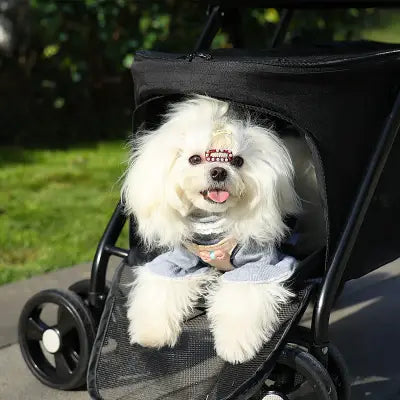 J'aime comme me regarde dans ma poussette pour chien